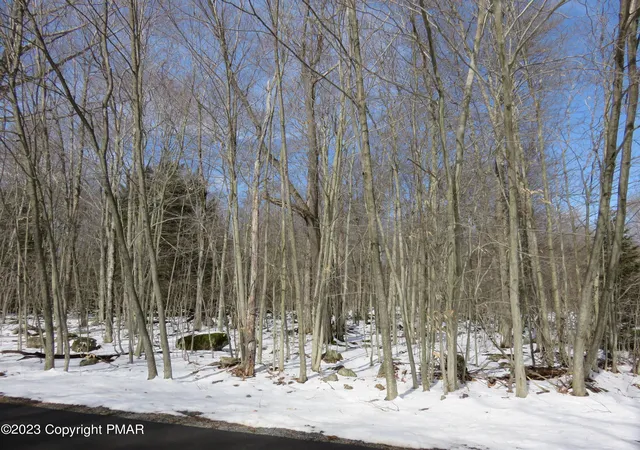 Photo 1 of Sale Pending at 80 Cc Delbert Dr, Gouldsboro, PA 18424 | MLS# PM-104385 | Listing updated on 2025-05-05