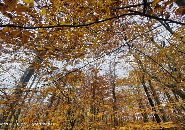 Photo 1 of Land for sale at Clearbrook Dr, Albrightsville, PA 18210 | MLS# PM-110767 | Listing updated on 2025-05-05