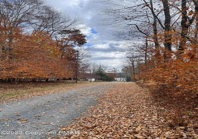 Photo 1 of Land for sale at Cheilo 8 Path, Pocono Lake, PA 18347 | MLS# PM-110816 | Listing updated on 2025-05-05