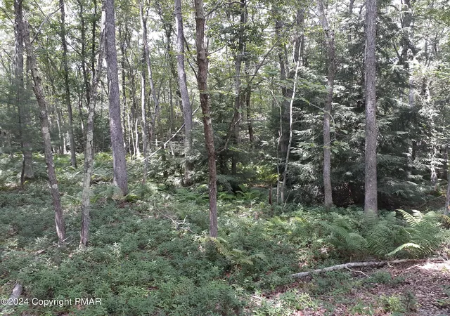 Homes for sale in Jim Thorpe, PA | A141 Rosewood Dr, Jim Thorpe, PA 18229 | MLS# PM-112347
