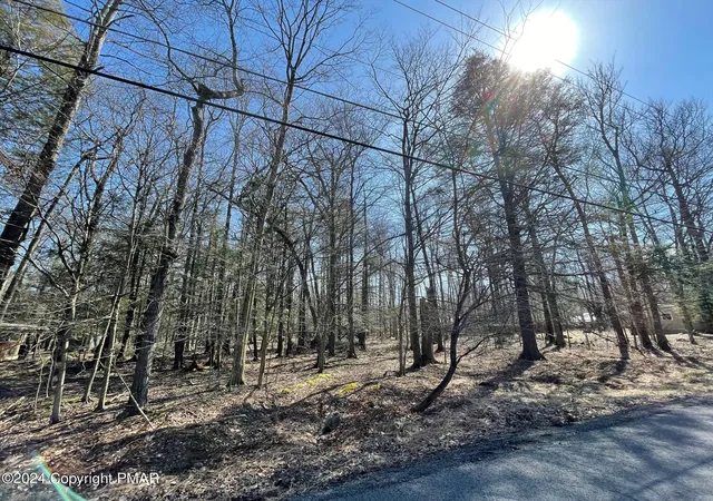 Photo 1 of Land for sale at B14hf Tanglewood Dr, Albrightsville, PA 18210 | MLS# PM-113501 | Listing updated on 2025-07-29
