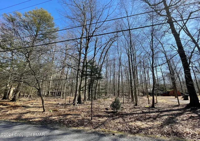 Photo 1 of Land for sale at B16hf Tanglewood Dr, Albrightsville, PA 18210 | MLS# PM-113502 | Listing updated on 2025-07-29