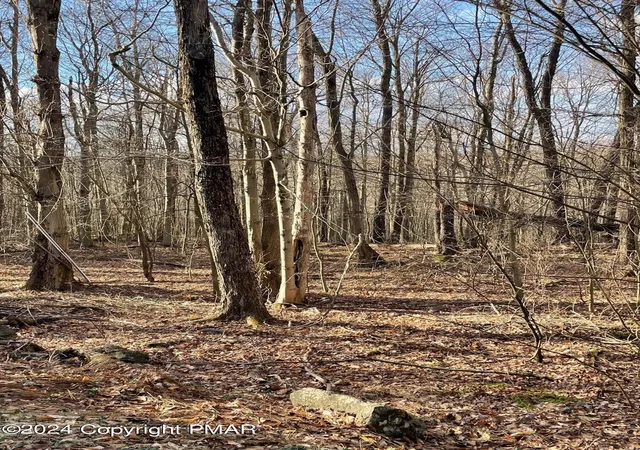 Photo 3 of Land for sale at 63 Ridge Rd, Newfoundland, PA 18445 | MLS# PM-113843 | Listing updated on 2025-10-31