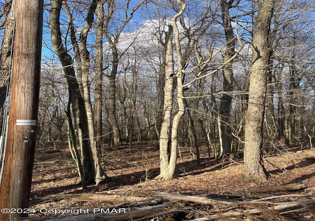 Photo 4 of Land for sale at 63 Ridge Rd, Newfoundland, PA 18445 | MLS# PM-113843 | Listing updated on 2025-10-31
