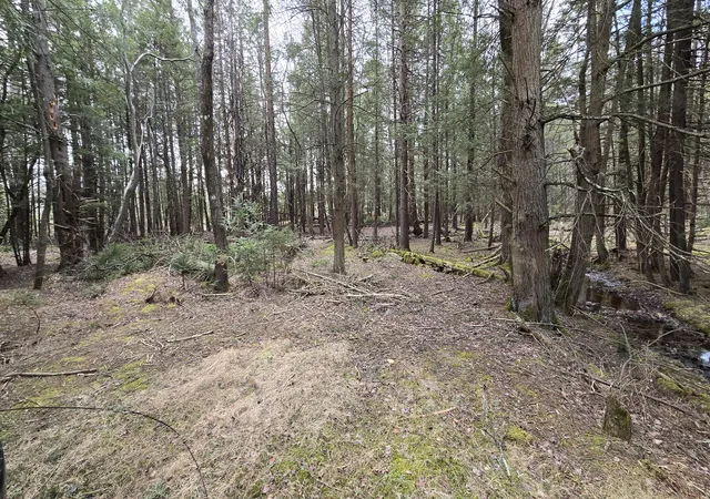 Photo 1 of Land for sale at 74 Forest Dr, Pocono Lake, PA 18347 | MLS# PM-119189 | Listing updated on 2025-05-05