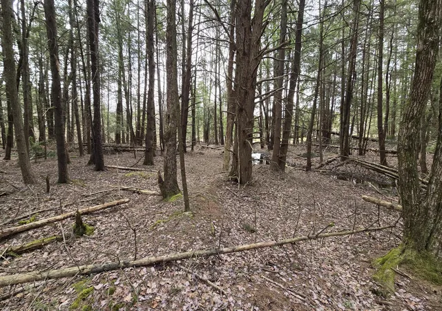 Photo 2 of Land for sale at 74 Forest Dr, Pocono Lake, PA 18347 | MLS# PM-119189 | Listing updated on 2025-05-05