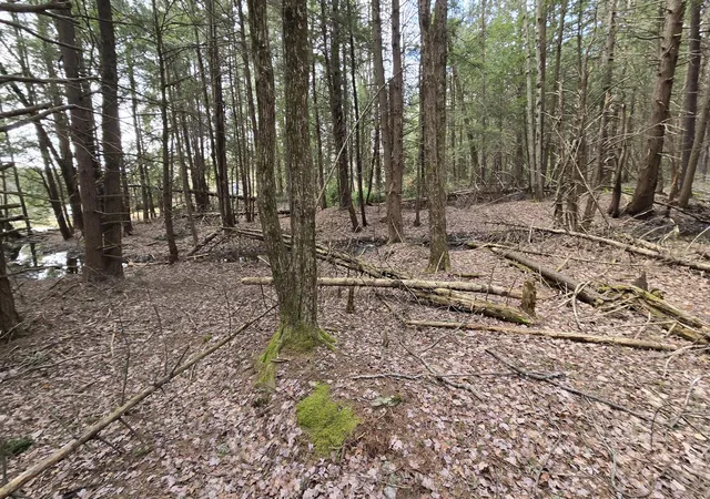 Photo 3 of Land for sale at 74 Forest Dr, Pocono Lake, PA 18347 | MLS# PM-119189 | Listing updated on 2025-05-05