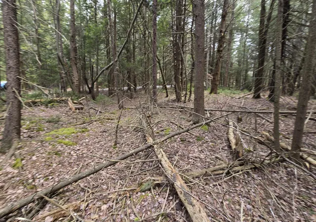 Photo 3 of Land for sale at 74 Forest Dr, Pocono Lake, PA 18347 | MLS# PM-119189 | Listing updated on 2025-05-05