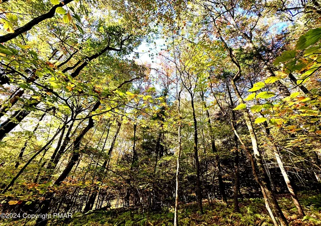 Homes for sale in Kunkletown, PA | Lot# 7 Wes Flo Ct, Kunkletown, PA 18058 | MLS# PM-119391