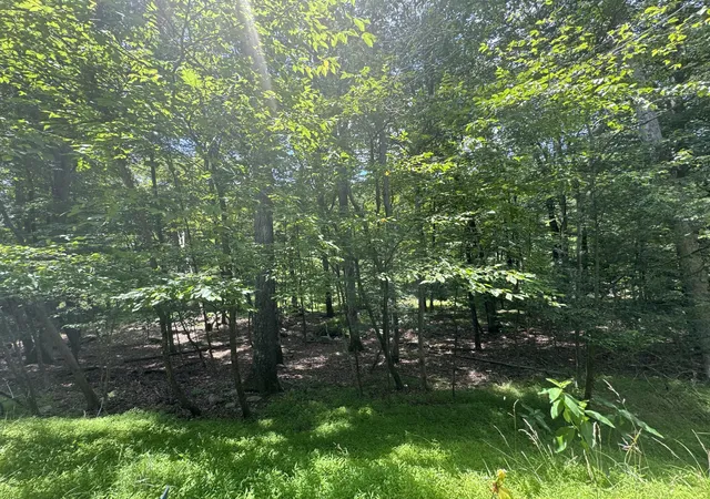 Photo 4 of Land for sale at Marshalls Creek Rd Lr 450 107, East Stroudsburg, PA 18302 | MLS# PM-119858 | Listing updated on 2025-10-24