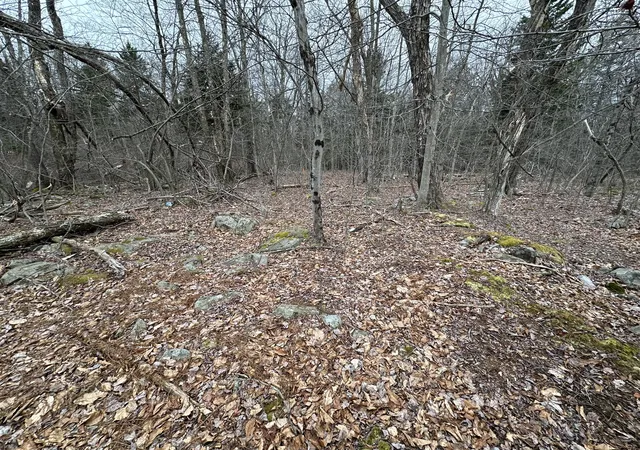 Photo 3 of Land for sale at 56 B June Dr, Tobyhanna, PA 18466 | MLS# PM-120312 | Listing updated on 2025-09-27