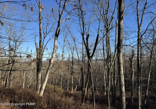 Homes for sale in Stroudsburg, PA | Eagle Dr (bush) Ct, Stroudsburg, PA 18360 | MLS# PM-120352