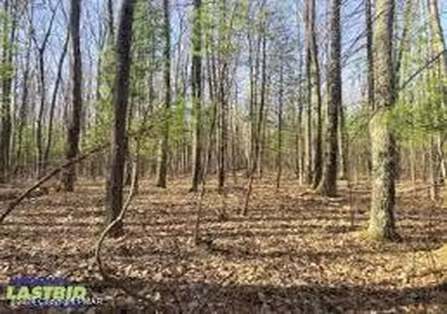 Photo 3 of Land for sale at 00 Navaho Path, Gouldsboro, PA 18424 | MLS# PM-120643 | Listing updated on 2025-09-16