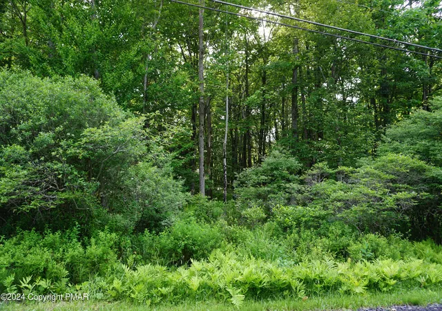 Homes for sale in Pocono Lake, PA | Wagner Way, Pocono Lake, PA 18347 | MLS# PM-120762