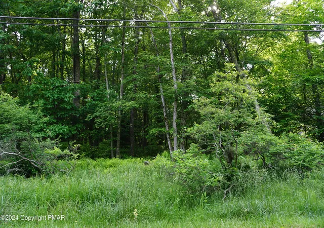 Homes for sale in Pocono Lake, PA | Wagner Way, Pocono Lake, PA 18347 | MLS# PM-120762