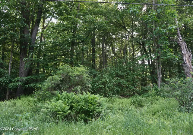 Homes for sale in Pocono Lake, PA | Wagner Way, Pocono Lake, PA 18347 | MLS# PM-120762