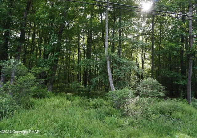 Homes for sale in Pocono Lake, PA | Wagner Way, Pocono Lake, PA 18347 | MLS# PM-120762