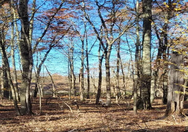 Photo 1 of Land for sale at Gingerbread Ln 75 &76, East Stroudsburg, PA 18302 | MLS# PM-120879 | Listing updated on 2025-10-13