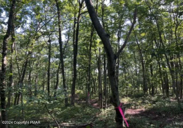 Photo 3 of Sale Pending at Pin Oak #518, Jim Thorpe, PA 18229 | MLS# PM-120923 | Listing updated on 2025-05-05