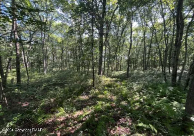 Photo 4 of Sale Pending at Pin Oak #518, Jim Thorpe, PA 18229 | MLS# PM-120923 | Listing updated on 2025-05-05