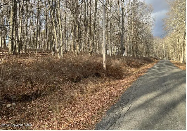 Photo 4 of Land for sale at Lot 288 Doe Loop, Bushkill, PA 18324 | MLS# PM-121018 | Listing updated on 2025-07-21