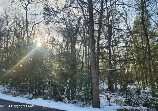 Photo 4 of Land for sale at Lot J769 Yellow Run Rd, Jim Thorpe, PA 18229 | MLS# PM-121080 | Listing updated on 2025-05-05