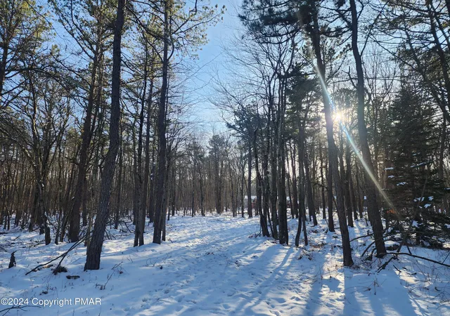 Photo 1 of Land for sale at Lot Ev481 Masters Trl, Albrightsville, PA 18210 | MLS# PM-121081 | Listing updated on 2025-05-05
