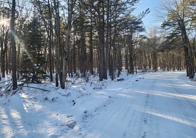 Photo 3 of Land for sale at Lot Ev481 Masters Trl, Albrightsville, PA 18210 | MLS# PM-121081 | Listing updated on 2025-05-05