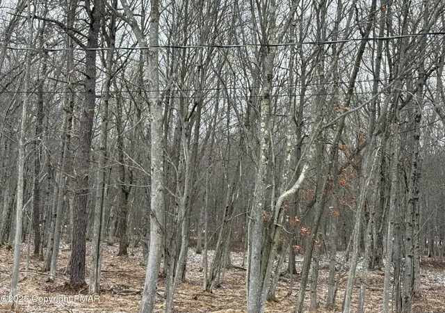 Photo 1 of Land for sale at 433 Holiday Dr, Pocono Summit, PA 18346 | MLS# PM-121176 | Listing updated on 2025-05-30