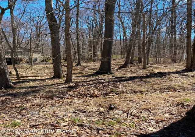 Photo 1 of Land for sale at 301 Tommy's Ln, Pocono Lake, PA 18347 | MLS# PM-121345 | Listing updated on 2025-05-05