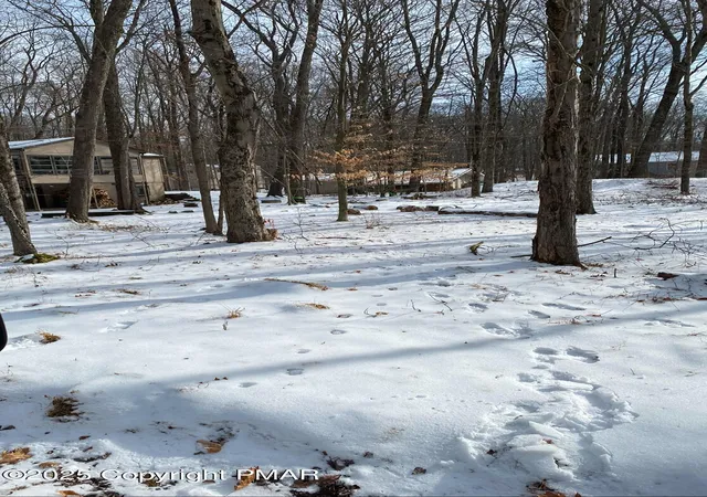 Photo 3 of Land for sale at 301 Tommy's Ln, Pocono Lake, PA 18347 | MLS# PM-121345 | Listing updated on 2025-05-05