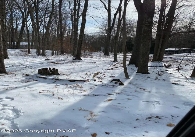 Photo 3 of Land for sale at 301 Tommy's Ln, Pocono Lake, PA 18347 | MLS# PM-121345 | Listing updated on 2025-05-05