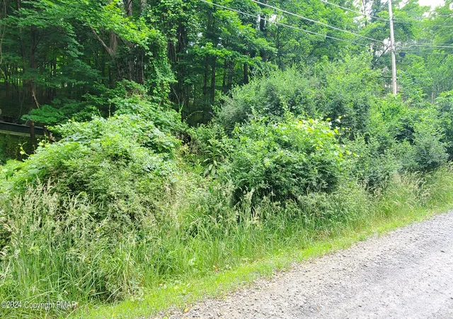 Photo 3 of Land for sale at Lot 180 Stony Hollow Cir, Bushkill, PA 18324 | MLS# PM-121628 | Listing updated on 2025-05-05
