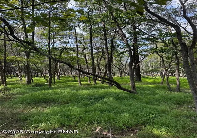 Photo 1 of Land for sale at Lakeview Dr, Albrightsville, PA 18210 | MLS# PM-121637 | Listing updated on 2025-03-26