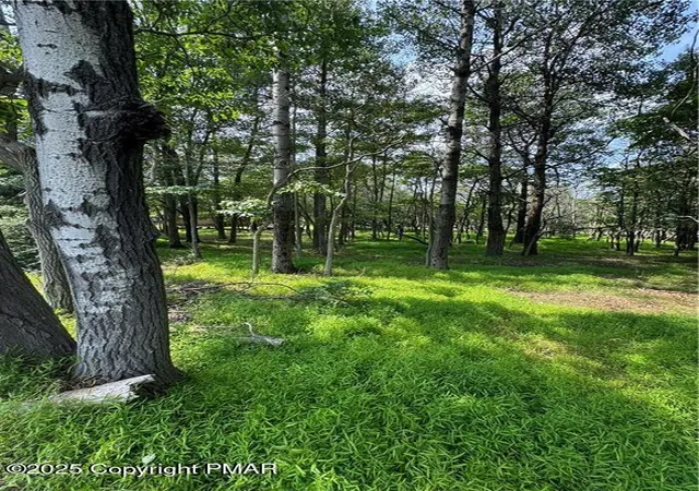 Photo 2 of Land for sale at Lakeview Dr, Albrightsville, PA 18210 | MLS# PM-121637 | Listing updated on 2025-03-26