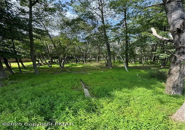 Photo 3 of Land for sale at Lakeview Dr, Albrightsville, PA 18210 | MLS# PM-121637 | Listing updated on 2025-03-26