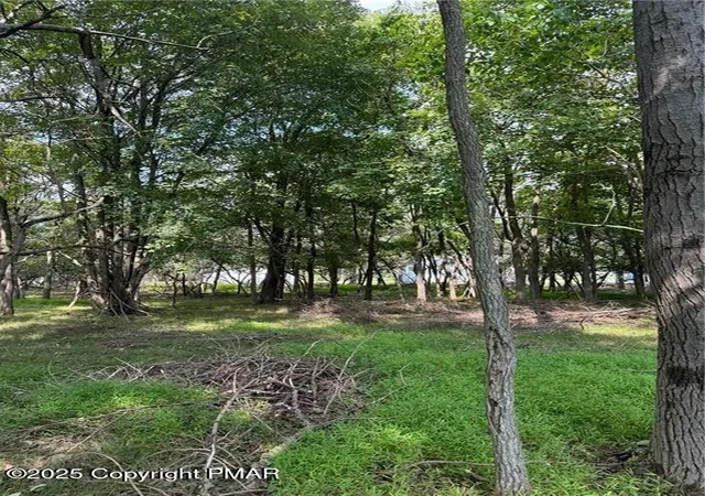 Photo 4 of Land for sale at Lakeview Dr, Albrightsville, PA 18210 | MLS# PM-121637 | Listing updated on 2025-03-26