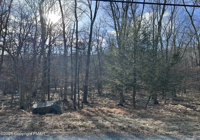 Photo 2 of Land for sale at Lot 736 Decker Rd, Bushkill, PA 18324 | MLS# PM-121643 | Listing updated on 2025-08-04