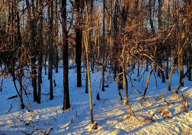 3rd image of 715 Chippewa Tr Trl, Albrightsville, PA 18210 | MLS# PM-121774