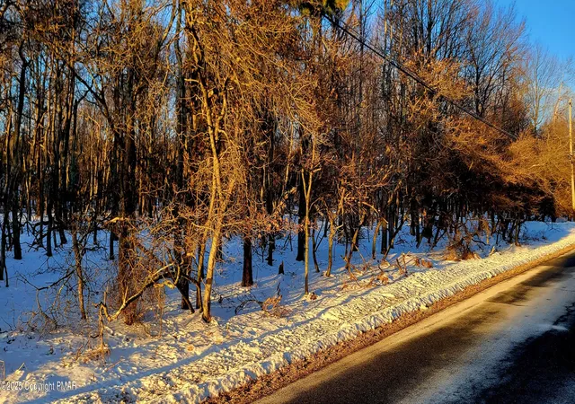4th image of 715 Chippewa Tr Trl, Albrightsville, PA 18210 | MLS# PM-121774