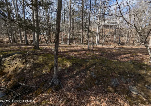 Photo 3 of Land for sale at Lot 177 Decker Rd, Bushkill, PA 18324 | MLS# PM-122234 | Listing updated on 2026-04-23
