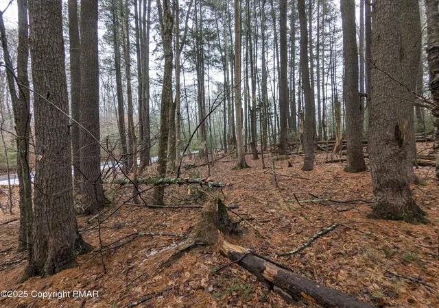 image of 11 Pine Hill Ct, East Stroudsburg, PA 18302 | MLS# PM-122235