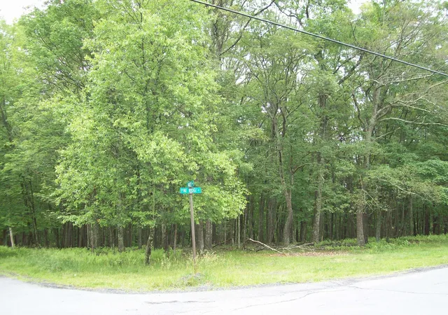 Photo 1 of Land for sale at Lot 151 Pine Ridge Dr, Bushkill, PA 18324 | MLS# PM-122298 | Listing updated on 2025-05-05
