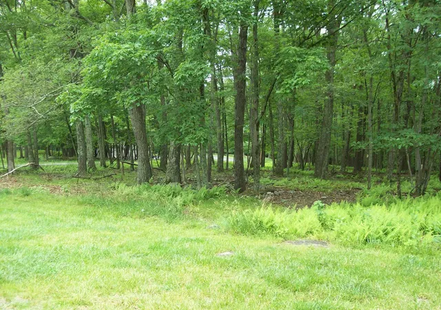 Photo 2 of Land for sale at Lot 151 Pine Ridge Dr, Bushkill, PA 18324 | MLS# PM-122298 | Listing updated on 2025-05-05