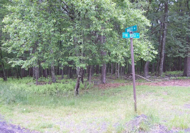 Photo 3 of Land for sale at Lot 151 Pine Ridge Dr, Bushkill, PA 18324 | MLS# PM-122298 | Listing updated on 2025-05-05