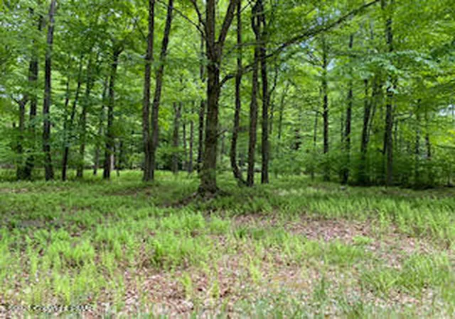 1st image of 903 W Wadi Rd W, Pocono Lake, PA 18347 | MLS# PM-130260
