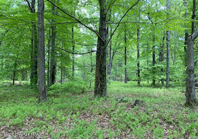 5th image of 903 W Wadi Rd W, Pocono Lake, PA 18347 | MLS# PM-130260