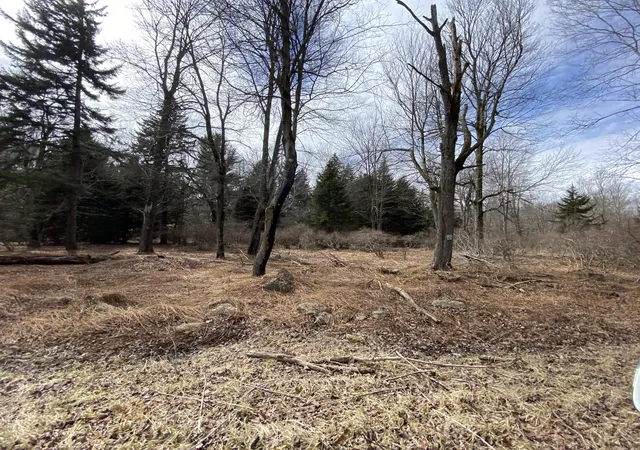 Photo 1 of Land for sale at 905 Wadi Rd W, Pocono Lake, PA 18347 | MLS# PM-130263 | Listing updated on 2025-05-05