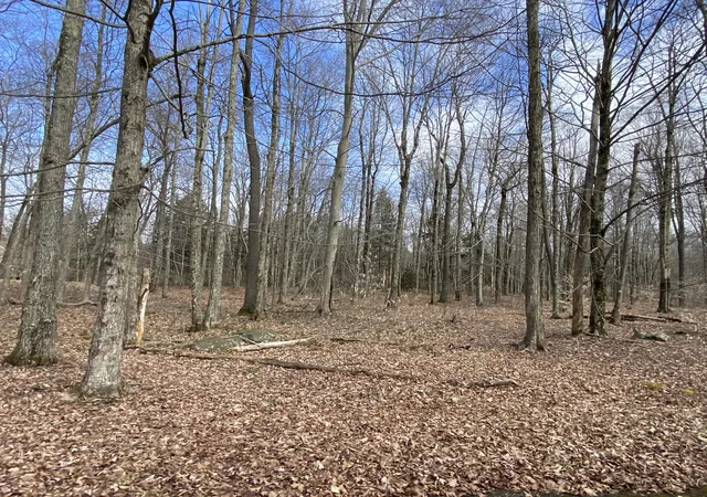 1st image of 1018 W Wadi Rd W, Pocono Lake, PA 18347 | MLS# PM-130253