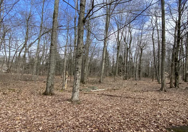 4th image of 1018 W Wadi Rd W, Pocono Lake, PA 18347 | MLS# PM-130253